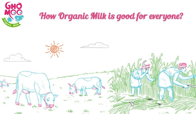 How Organic Milk Is Good For Everyone Ghomoo